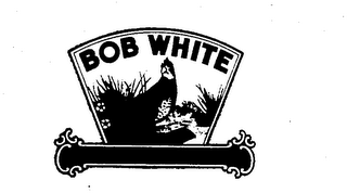 BOB WHITE logo