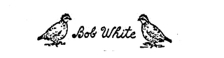 BOB WHITE logo