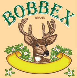 BOBBEX BRAND logo