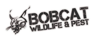 BOBCAT WILDLIFE & PEST logo