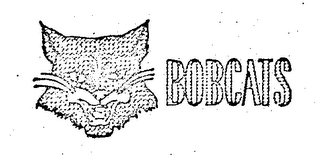 BOBCATS logo