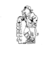 BOBKAT logo