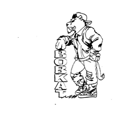 BOBKAT logo