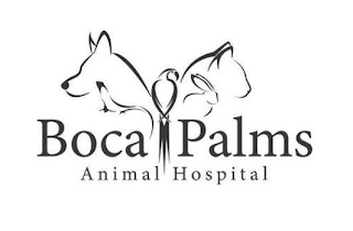 BOCA PALMS ANIMAL HOSPITAL logo