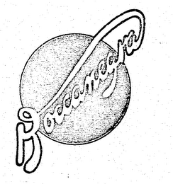 BOCCANEGRA logo
