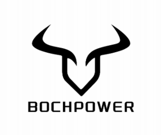BOCHPOWER logo