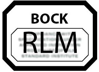 BOCK RLM STANDARD INSTITUTE logo