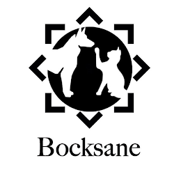 BOCKSANE logo
