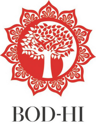 BOD-HI logo
