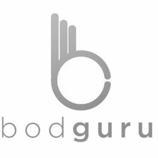 BODGURU B logo