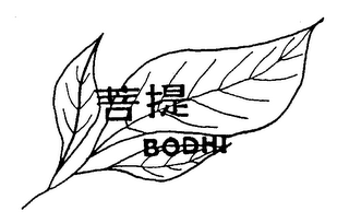 BODHI logo