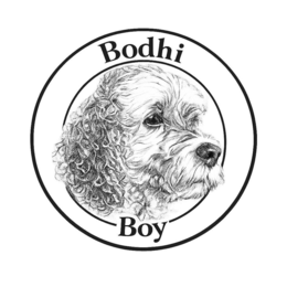 BODHI BOY logo