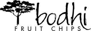 BODHI FRUIT CHIPS logo