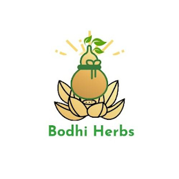 BODHI HERBS logo