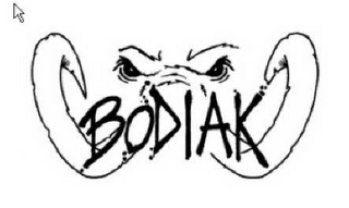 BODIAK logo