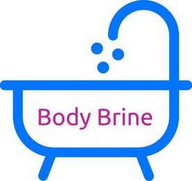 BODY BRINE logo