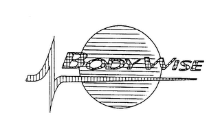 BODY WISE logo