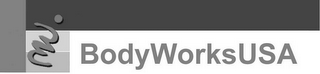 BODYWORKSUSA logo