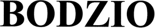 BODZIO logo