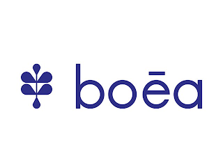 BOEA logo