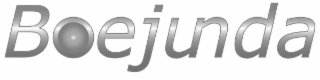 BOEJUNDA logo