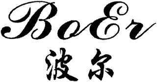 BOER logo