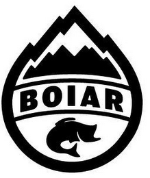 BOIAR logo