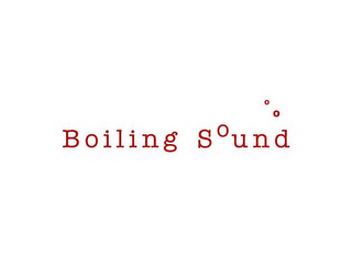BOILING SOUND logo