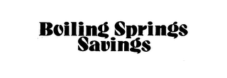 BOILING SPRINGS SAVINGS logo