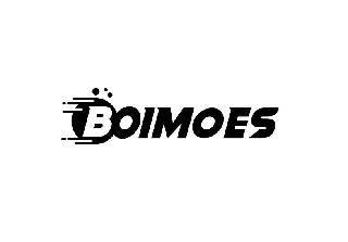 BOIMOES logo