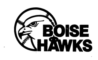 BOISE HAWKS logo
