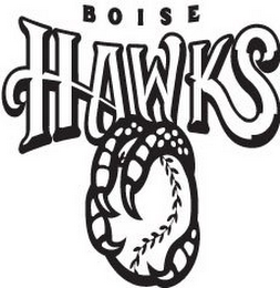 BOISE HAWKS logo