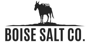 BOISE SALT CO. logo
