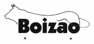 BOIZAO logo