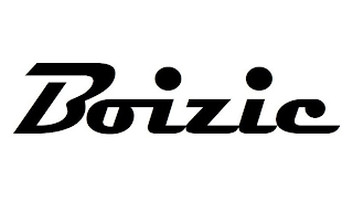 BOIZIC logo