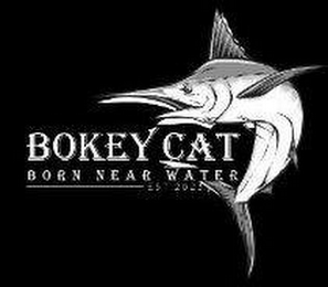 BOKEY CAT BORN NEAR WATER EST 2022 logo