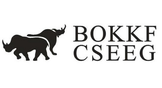 BOKKF CSEEG logo