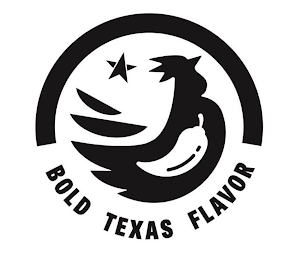 BOLD TEXAS FLAVOR logo