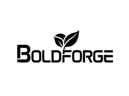 BOLDFORGE logo