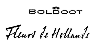 BOLDOOT FLEURS DE HOLLANDE logo