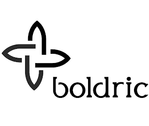 BOLDRIC logo