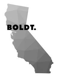 BOLDT. logo