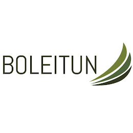 BOLEITUN logo