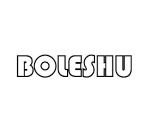 BOLESHU logo