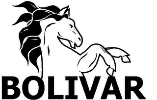 BOLIVAR logo