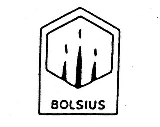 BOLSIUS logo