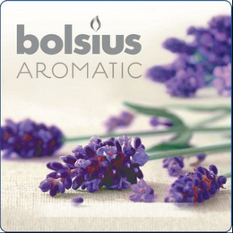 BOLSIUS AROMATIC logo