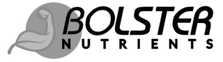 BOLSTER NUTRIENTS logo