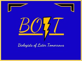 BOLT logo