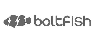 BOLTFISH logo